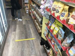 The cat is not for sale😄 at Sano Health Food Center in New York City