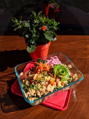 Bring Tupperware for take-out orders! Best plantbased ever! at The Dandelion in Calgary