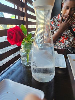  at Lotus Vegan in North Hollywood