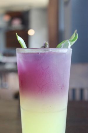   at Lotus Vegan in North Hollywood