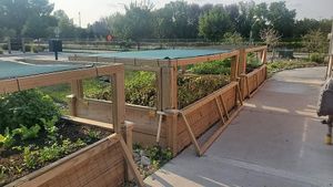 Herb garden at EAT Thai Cafe in Bismarck