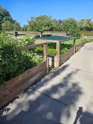 Garden fresh ingredients in season at EAT Thai Cafe in Bismarck