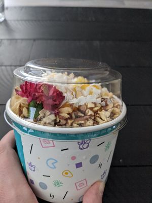 Dragon Bowl Z at Raw in Milpitas