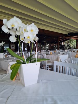 Inside at Trattoria al Pirio in Torreglia