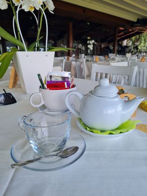 Herbal tea at Trattoria al Pirio in Torreglia