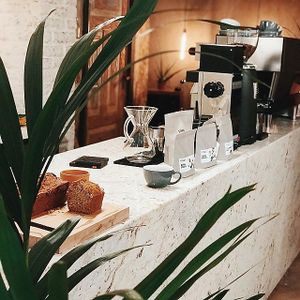 Fresh baked vegan banana bread at Stars Coffee in Riga