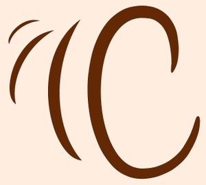 C at Cornucopia - Vegan Minimarket in Tabua