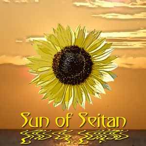 Sun of Seitan @Tynemouth Market, and vegan festivals.  at Sun of Seitan in Newcastle Upon Tyne