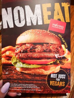 Vegan menu at Red Lion in Newburgh