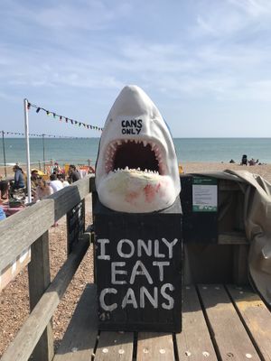   at Goat Ledge in Hastings