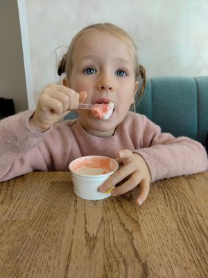 Peanut eating a lemon and raspberry sorbet. at Gelato Ladies in Tallinn