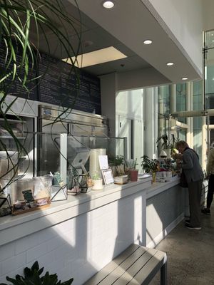 Beautiful interior  at Plantbar - Point St in Baltimore