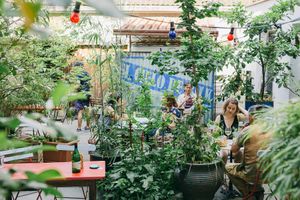 Our backyard garden. Calm and cosy. Secret spot in Dusseldorf.  at Pure Note in Dusseldorf