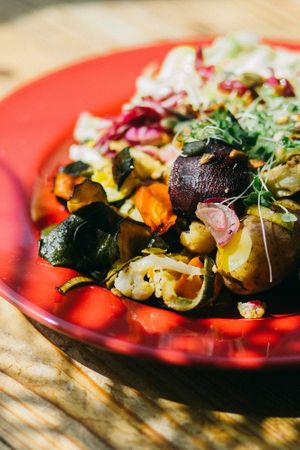 Dish of the day. Vegan organic and freshly cooked.  at Pure Note in Dusseldorf