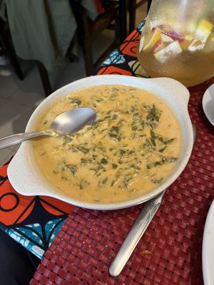   at Roda Viva in Lisbon