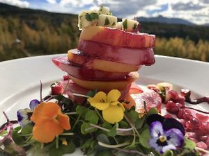 Altezza Rainbow Beet Short Stack, with golden & chiogga beets, pomegranate arlis, micro greens, apple crudo, beet gastrique ... fresh and flavorful!  at Altezza at The Peaks in Telluride