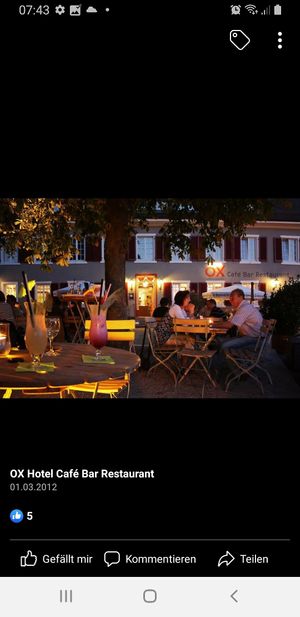 outside under the chestnut trees at Ox in Heitersheim