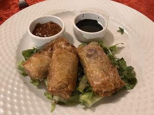 Home made spring rolls  at Snobs Restaurant in Luxor