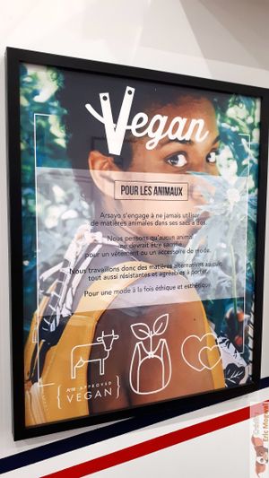 Vegan for the animals at Arsayo in Paris