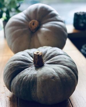 Hungarian blue pumkins... at Be Kind Cafe in Geneva