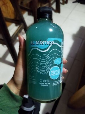 Rescate de Chief en excelente estado at Mora Mora - Roma in Mexico City