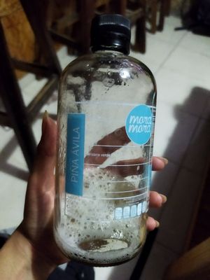 Rescate de Chief en excelente estado at Mora Mora - Roma in Mexico City