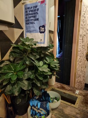 Provide free sanitary options at Good Love in St Kilda