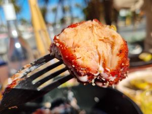 jackfruot chikn at Good Love in St Kilda