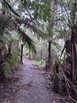   at Cook's Corner Kallista in Kallista