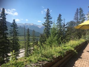 The view!!!  at The Juniper Bistro in Banff
