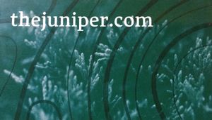 Business Card front at The Juniper Bistro in Banff