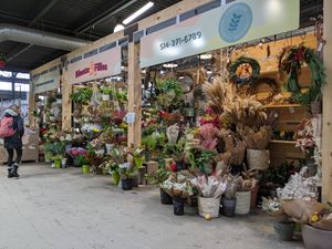 Flowers at Marché Jean-Talon in Montreal