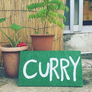 In front at Ananda Kitchen in Ishigaki