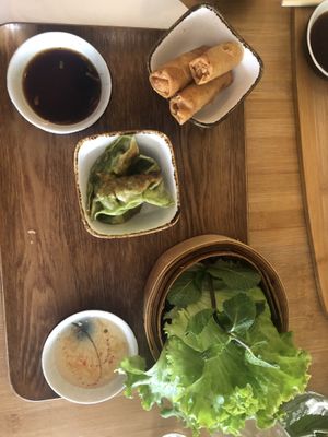 Vegane Frühlingsrollen und vegane Gyoza  at Chez Ann in Paris