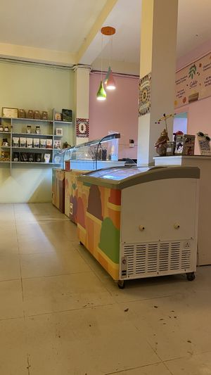 Interior  at Gelato Factory in Auroville