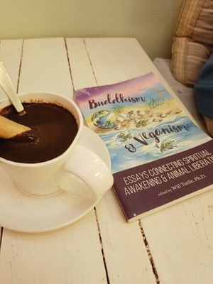 Vegan Hot chocolate 🤎 at Gelato Factory in Auroville
