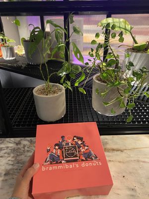 The box to take home  at Brammibal's Donuts - Potsdamer Platz in Berlin