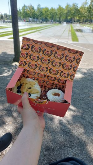 Blueberry-lemon cheescake, and one I don't remember the name of (queen something). at Brammibal's Donuts - Potsdamer Platz in Berlin