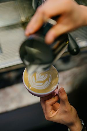oat cappuccino at Brammibal's Donuts - Potsdamer Platz in Berlin