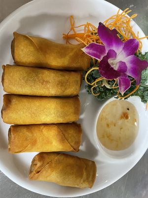 Veggie spring rolls  at Swadee Thai House in Emmaus
