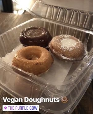 Vegan Doughnuts! at The Purple Cow in Hilton Head Island