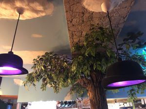 Decor is so cute at Falafel Brothers - Ebisu in Tokyo