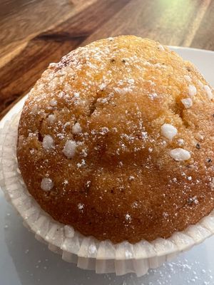   at Skäralids in Ljungbyhed