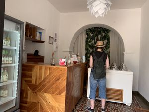 Inside my vegan partner orders both of their two vegan options at Wabi Gelato in Valladolid