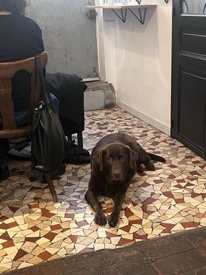   at Grounded in Paris