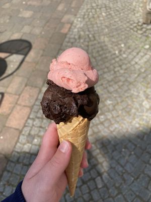   at Ceotto in Halle Westfalen