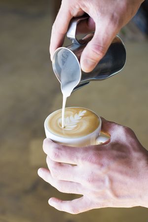 100% organic, direct trade, locally roasted specialty coffee at The Shore in The Hague