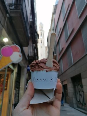 Vegan gelato at Bellamia Gelateria Italiana in Barcelona