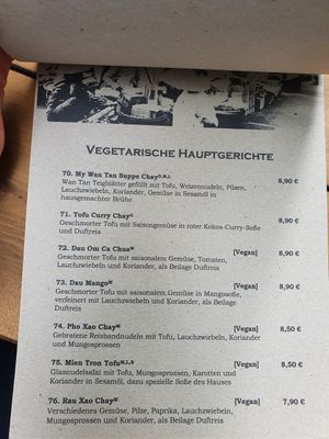 updated vegan menu at Viet Village in Leipzig