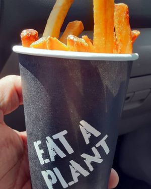 Great idea for the fries! at Stand-Up Burgers in Berkeley